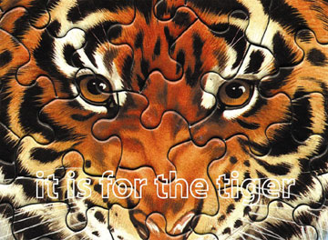 it is for the tiger